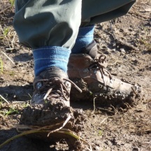 Mucky Boots