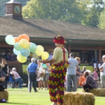 Village clown